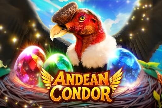 Andean Condor