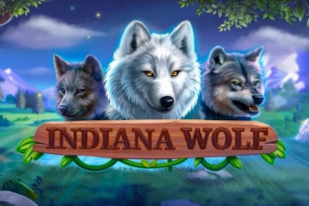 Indiana Wolf